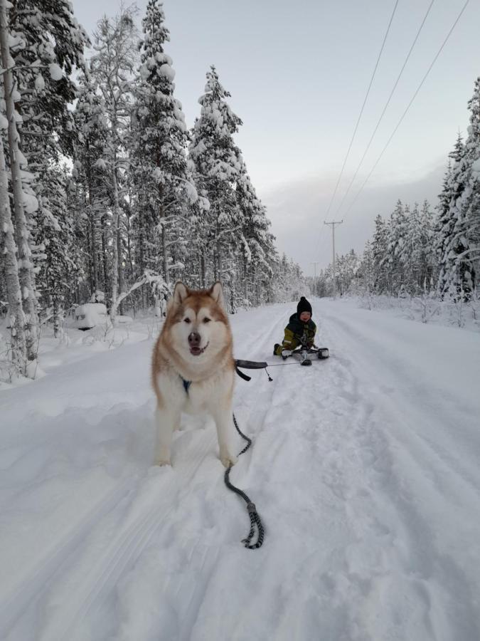 Villa Waeltti Rovaniemi Eksteriør billede