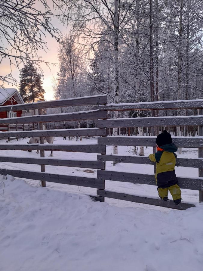 Villa Waeltti Rovaniemi Eksteriør billede